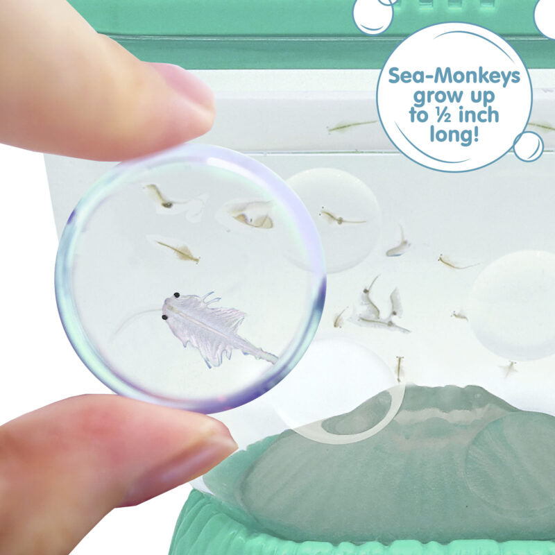 Sea-Monkeys Ocean Volcano - US 7426