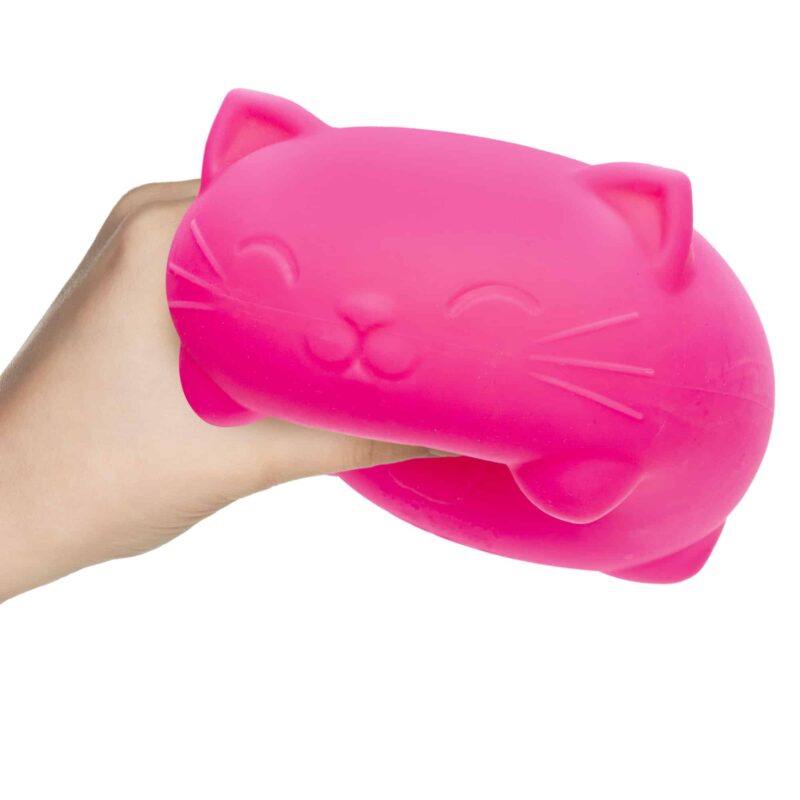 Super NeeDoh Cool Cats - US 4449